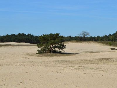 Gelderland