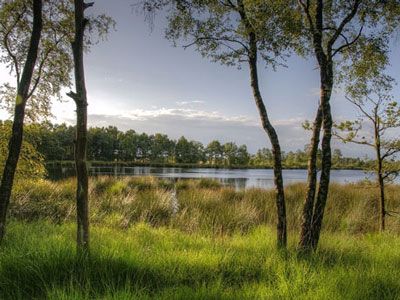 Noord-Brabant