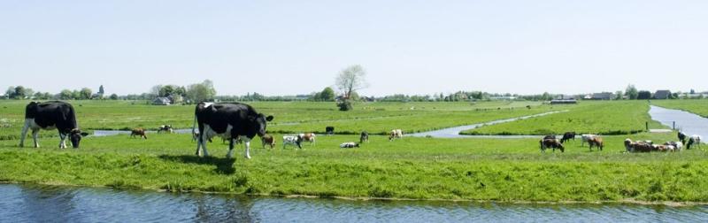 Foto van Huis Het Bosch