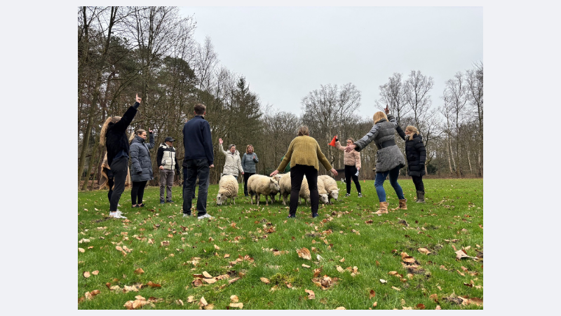 Foto van LLanfarian Events