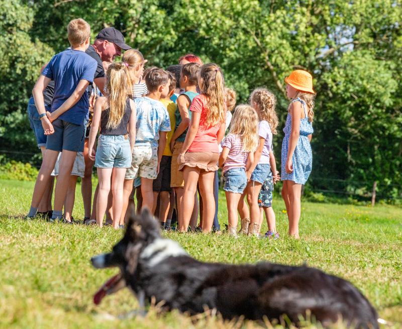 Foto van LLanfarian Events