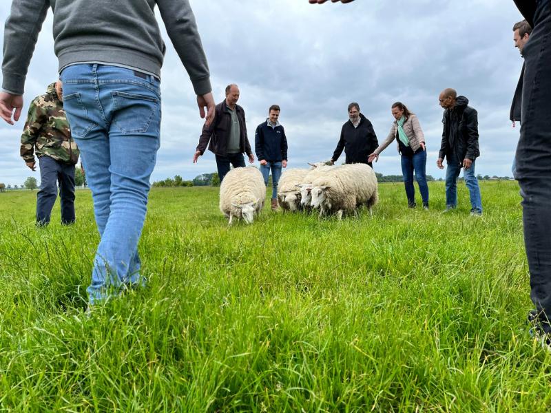 Foto van LLanfarian Events