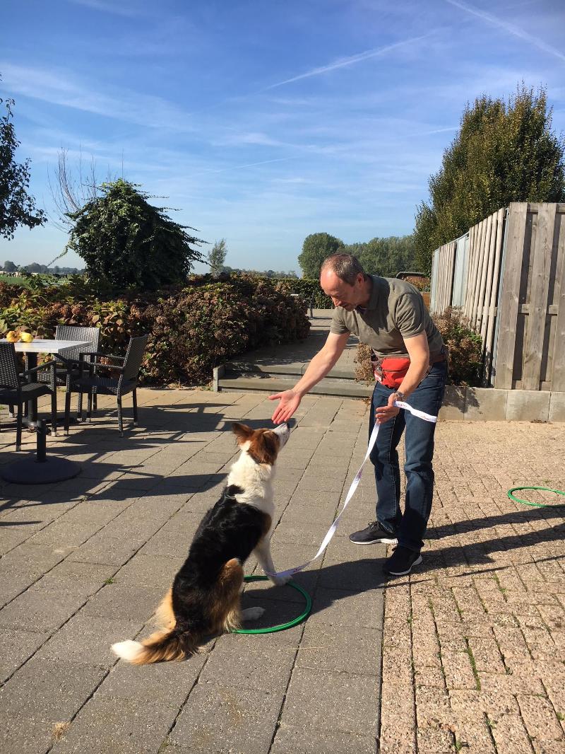 Foto van LLanfarian Events