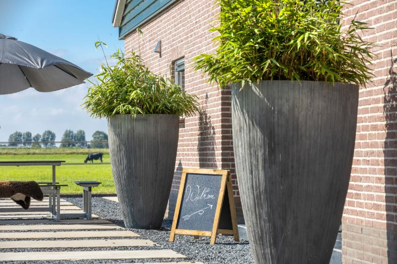 Foto van Milk & Meetings