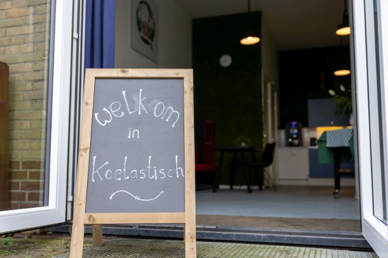 Foto van Koetastisch