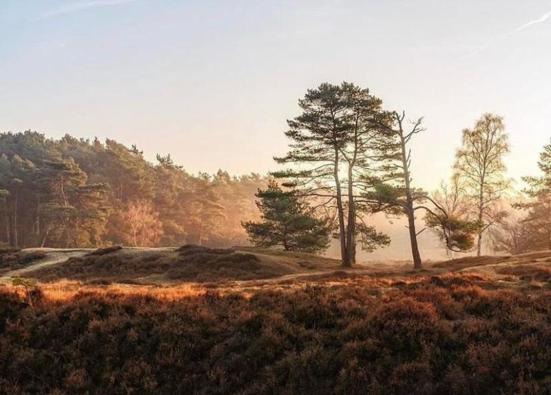360° tour van Buitenplaats de Bergse Bossen
